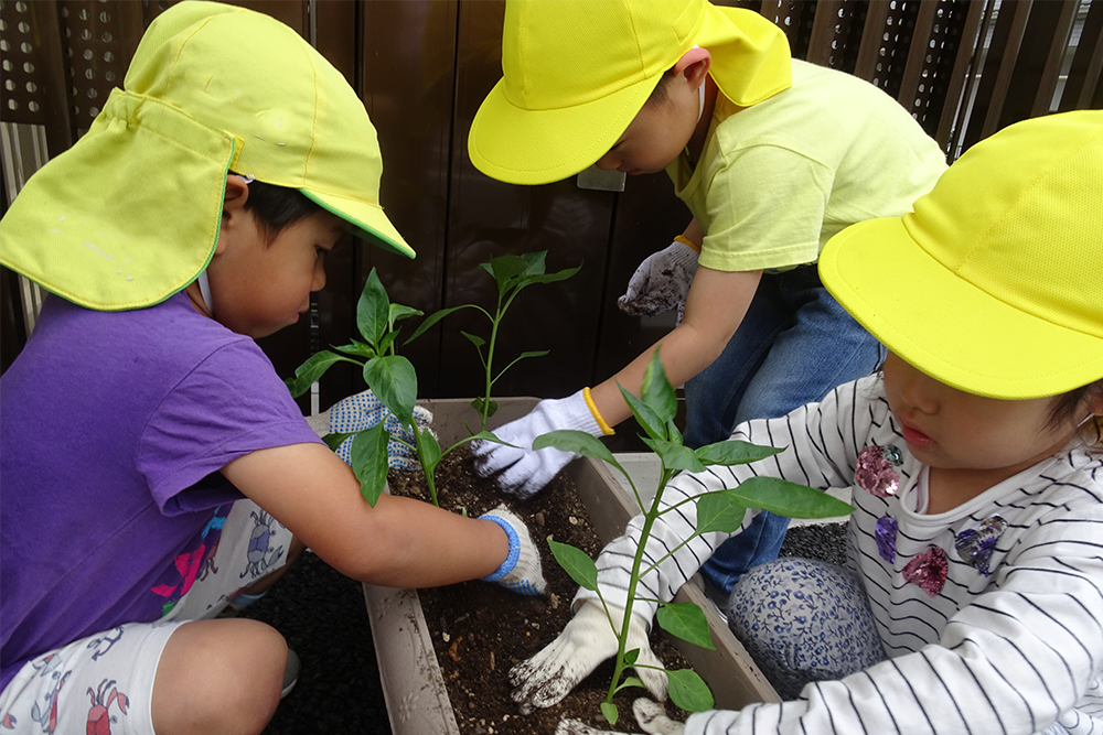 あゆみ保育園一日の流れ10